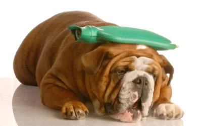 Of Course I Get HEADACHES!