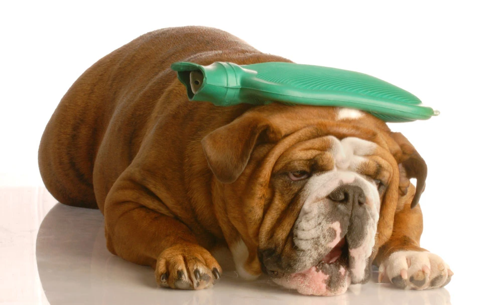 Of Course I Get HEADACHES!