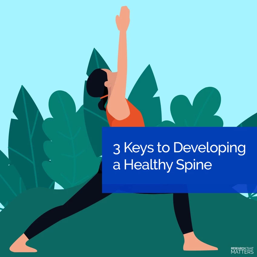 3 Keys to Developing a Healthy Spine 3 Keys to Developing a Healthy Spine